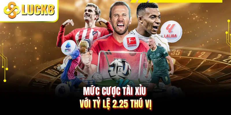 Mức cược tài xỉu với tỷ lệ 2.25 thú vị
