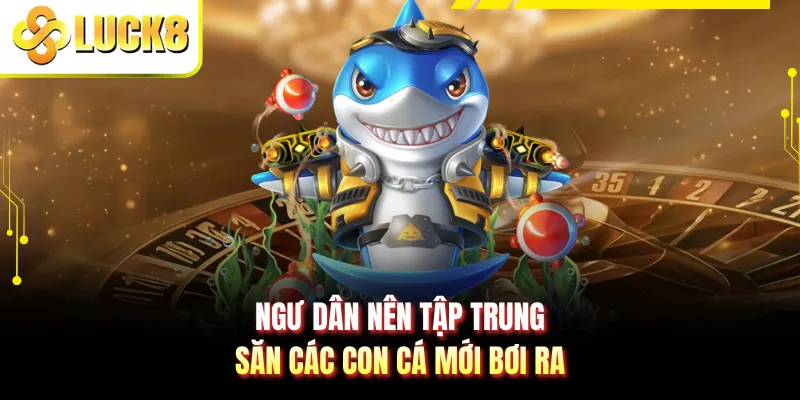 Ngư dân nên tập trung săn các con cá mới bơi ra