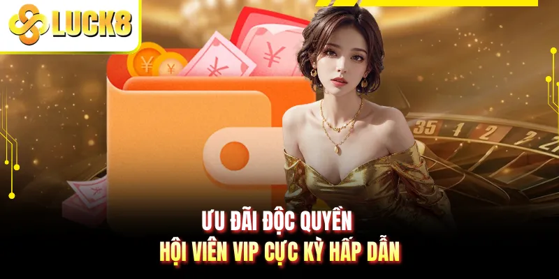 Ưu đãi độc quyền hội viên VIP cực kỳ hấp dẫn